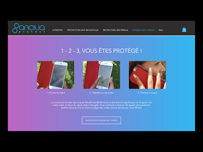 Web Design - Photoshoot - Client / Ancilia Protect photography ux design web