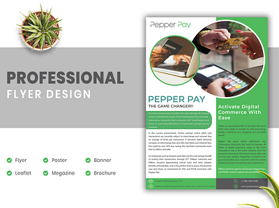 Professional Flyer Design brand identity branding design flyer flyer design graphic design print design professional flyer