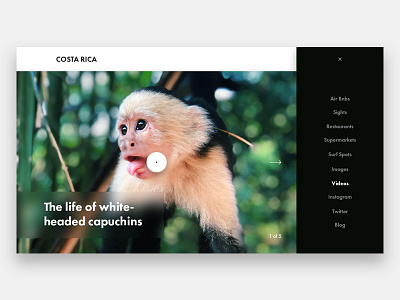 Costa Rica booking clean design minimalsism travell ui ux website