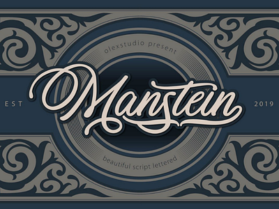 Manstein - script font font graphicdesign graphicdesigner lettering scriptfont