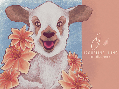 Comission - little lamb animal illustration illustration