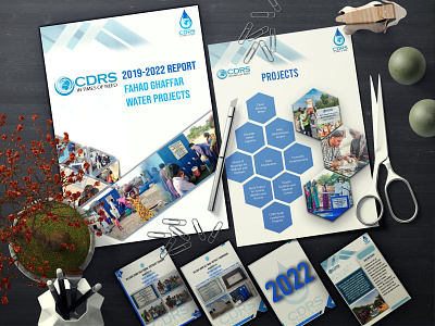 CDRS Report Design branding de design graphic design illustration photography vector