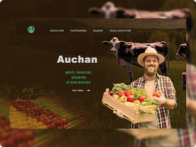 Design concept for AUCHAN branding design graphic design landing page logo