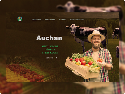 Design concept for AUCHAN