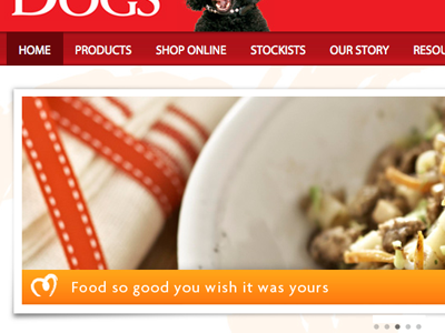 Wellbeing For Dogs css3 droid myriad wordpress