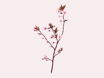 Spring 🌸 adobe flower illustrator pink plant season spring