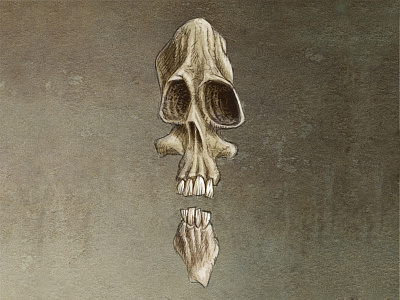 Elongated Skull el greco skeleton sketch skulls