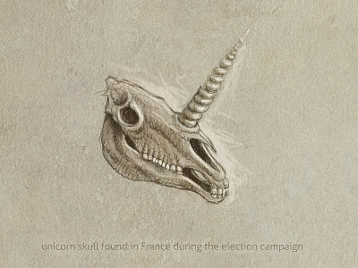 Unicorn skull sketch skull unicorn
