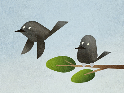 jackdaws (Choucas) birds choucas illustration vector