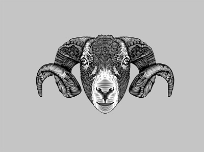 Dalesbred Sheep Illustration adobe illustrator animal animal illustration branding graphic design illustration linocut sheep vector woodcut