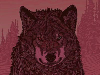 Wild Wolf Illustration