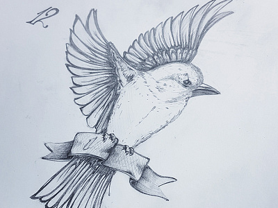 Bird art bird drawing pencil shadow