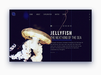 Jellyfish