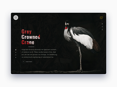 Grey Crowned Crane animal carousel design slider ui ux web