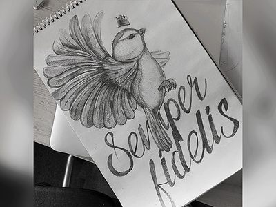 Semper Fidelis art artwork bird draw drawing fly latin life paint pencil sketch sketch 2 sketchbook wings