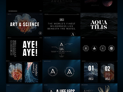 Aquatilis Expedition on Behance