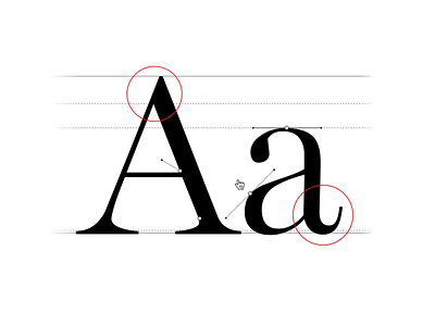 Semplice Custom Typography features portfolio type typeface typography