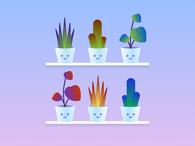 Happy Plants cactus plants pot shelf succulent