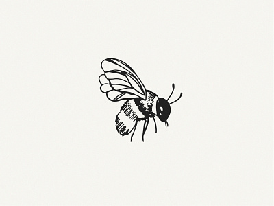 Hive & Hoof Bee Illustration branding design illustration logo