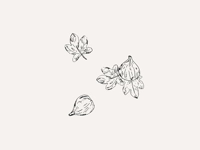 The Savory Fig - Illustration bakery drawing illustration pastry vegan