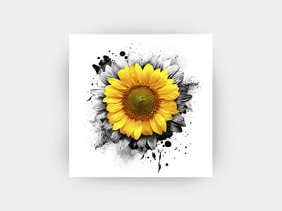 Sunflower poster