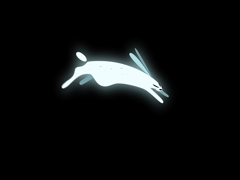 Run Rabbit, Run animation motion motion design rabbit