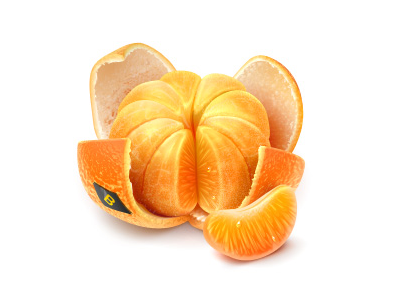 Clementine season icon icons softfacade virtual gifts