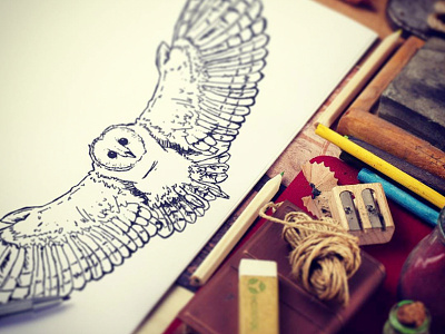 Wise Owl art doodle nature notebook sketch