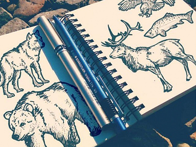 Animals art doodle nature notebook sketch