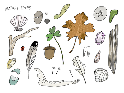 Nature Finds illustration