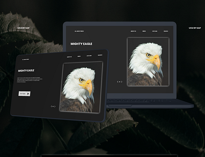 mighty eagle website dashbord 3d branding dashbord design illustration logo ui uidesign userexperience uxui webdesigner