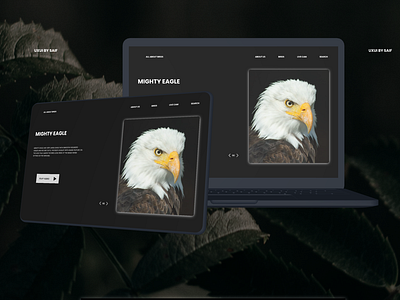 mighty eagle website dashbord