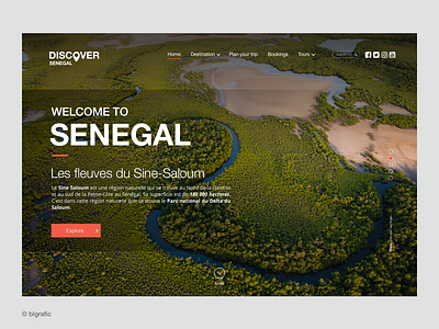 Discover Senegal #01 africa design design app dribbble green interface shot sketch app tourism travel uidesign uiux website