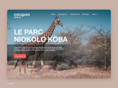 Discover Senegal #Parc adobe design interface sketch ui ui design vector web