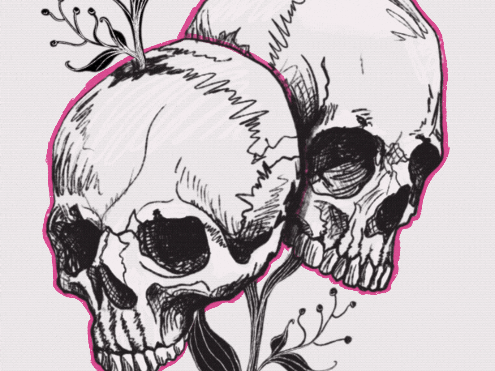Sugar Skulls frame by frame gif hand drawn illustration mexican pink pop of color procreate skull sugar skull