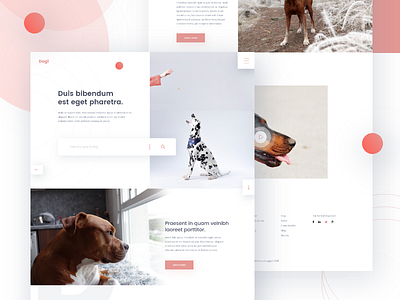 Dogi- Home page