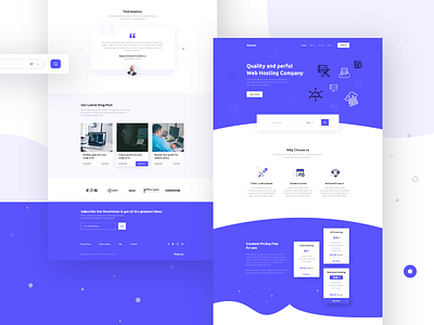 Hosting Landing page concept