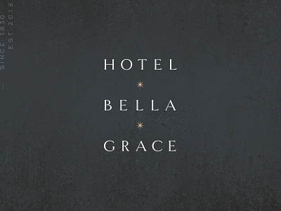 Hotel Bella Grace boutique branding charleston hotel star typography