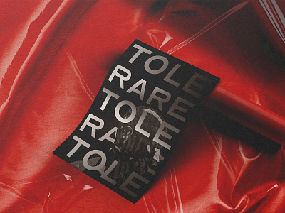 The Tolerance Project | Poster