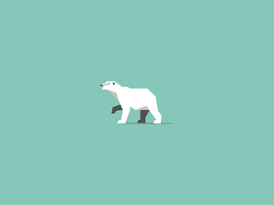 Polar Bear