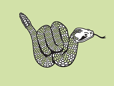Snake Shaka illustration rattle rattlesnake scales