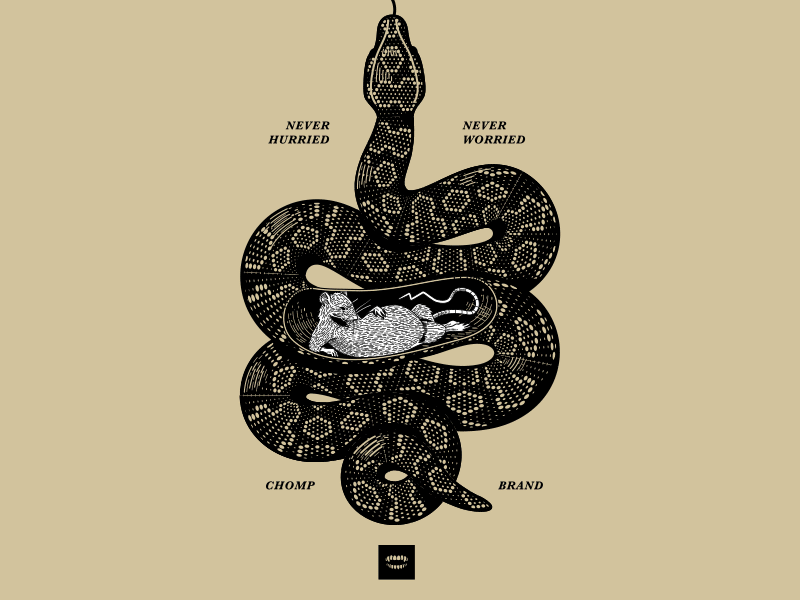 Never Worried illustration illustrator process rat scales snake tee vector