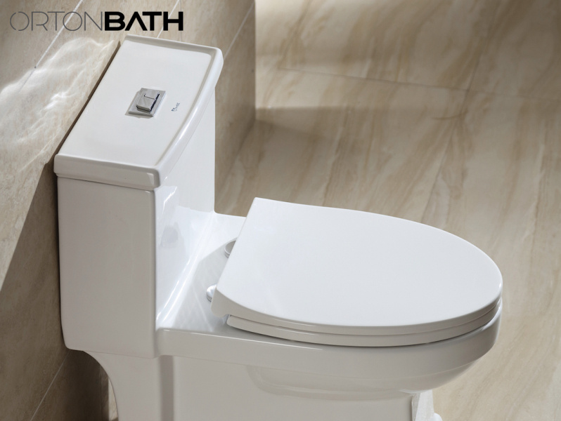 Best Toilet Bowl, Types of Toilet Ultimate Guide? by john miller on