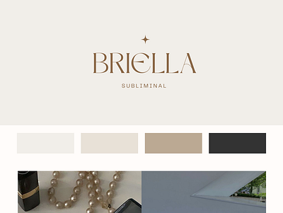 Briella Website Branding branding design graphic design ill illustration logo vector
