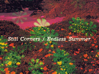 Endless Summer album cover cmyk nature psychedelic