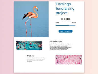 #DailyUi032 Crowdfunding Campaign branding crowdfunding campaign crowdfunding campaign ui crowdfunding campaign ui design dailyui design figma graphic design illustration landing page logo ui ux vector web webdesigner