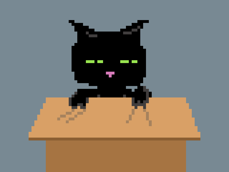 Cat in the box animation cats pixelart