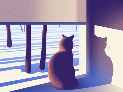 Early morning cat dawn landscape light morning shadow snow trees window winter