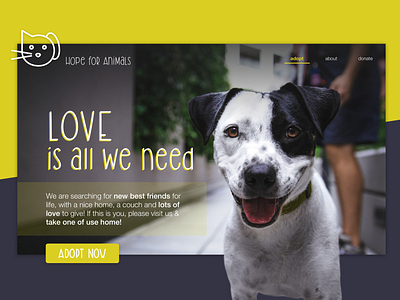Concept - Website for an animal shelter
