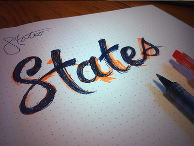 States Doodle design doodle logo sketch typography